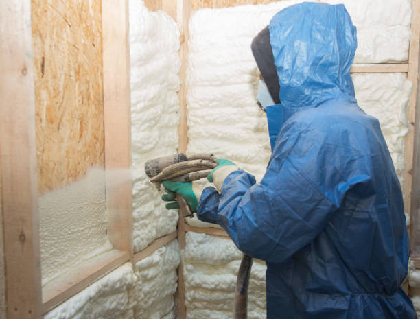 Best Vapor Barrier Installation  in Desert Palms, CA